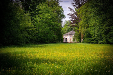 content_aschaffenburg-park-7983581_1280.0x300-aspect.jpg