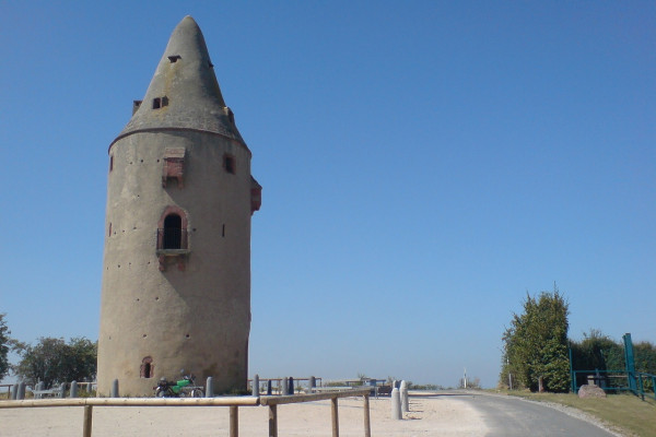navi_Wartturm-tower-687790.jpg
